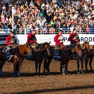 Racing Royalty and Transition to Rodeo: