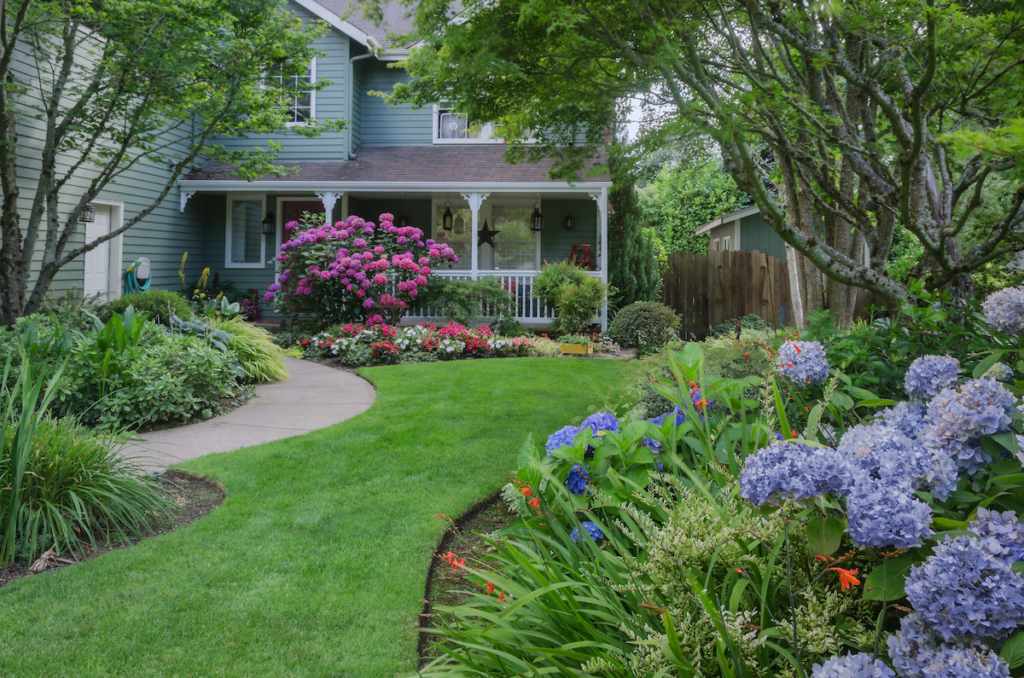 Understanding Your Lawn – Unlock the Secrets of Your Lawn!
