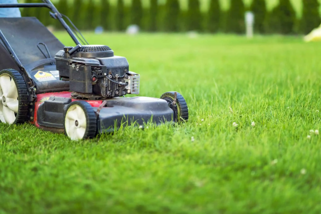 Optimizing Mowing Heights For A Healthy Lawn – Achieve The Perfect Mowing Height For Your Lawn! 