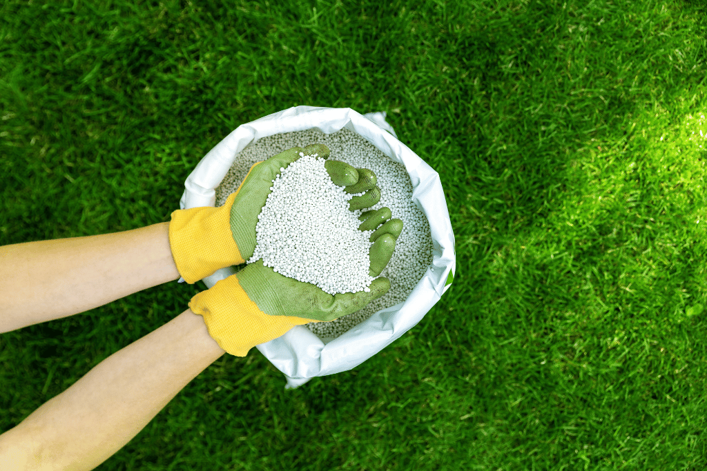 Maximizing Fertilization For A Thriving Lawn – Feeding Your Lawn!