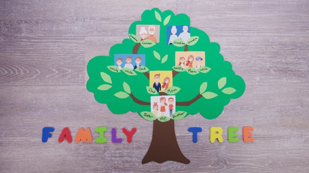 Exploring the Family Trees – Is There a Connection!