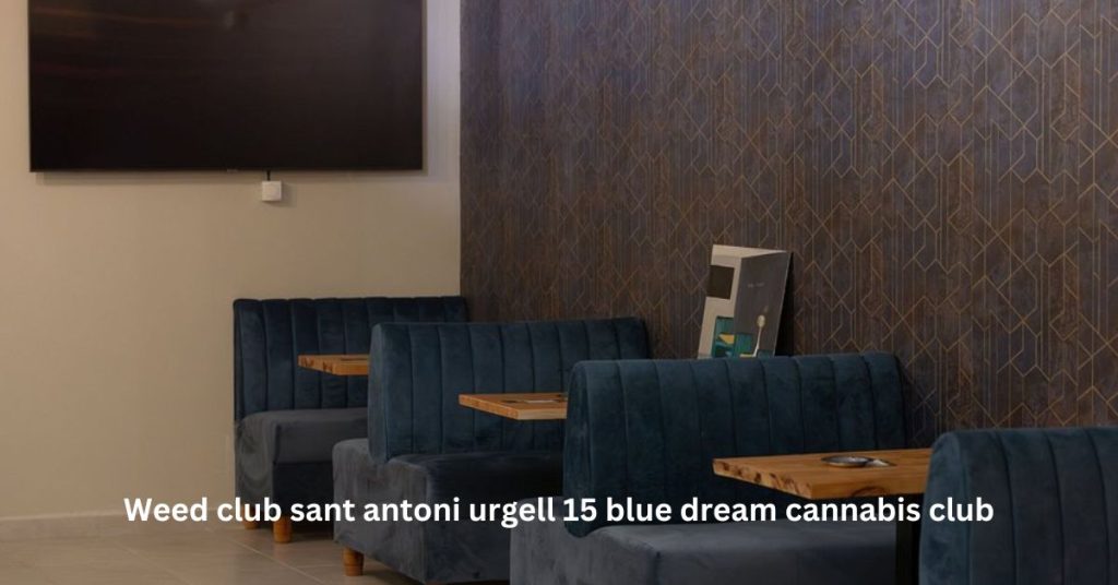 Weed club sant antoni urgell 15 blue dream cannabis club